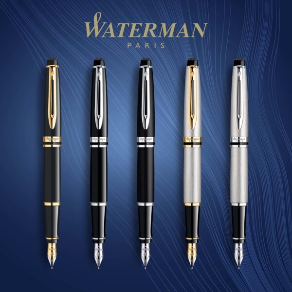 Waterman Expert Stainless Steel with Golden Trim - Image 3