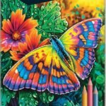 images 35