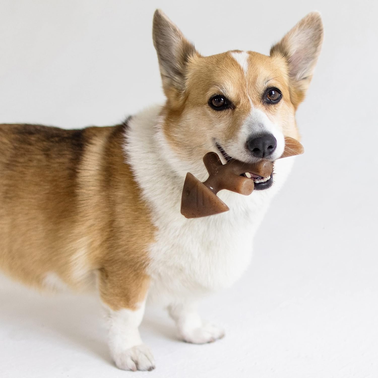 81P6yxyE68L._AC_SL1500_