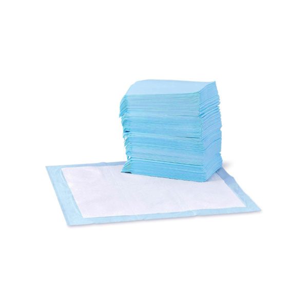 Amazon Basics Dog and Puppy Pee Pads with Leak-Proof Quick-Dry Design for Potty Training, Standard Absorbency, Regular Size, 22 x 22 Inches, Pack of 100, Blue & White