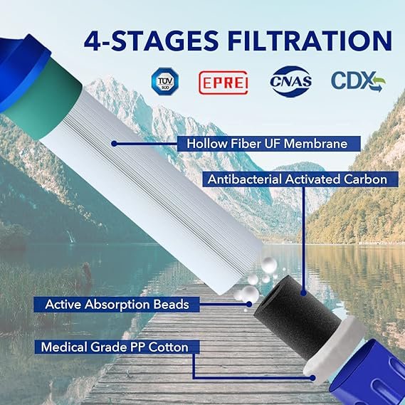 81vYVF0dp2L. AC SX569 1